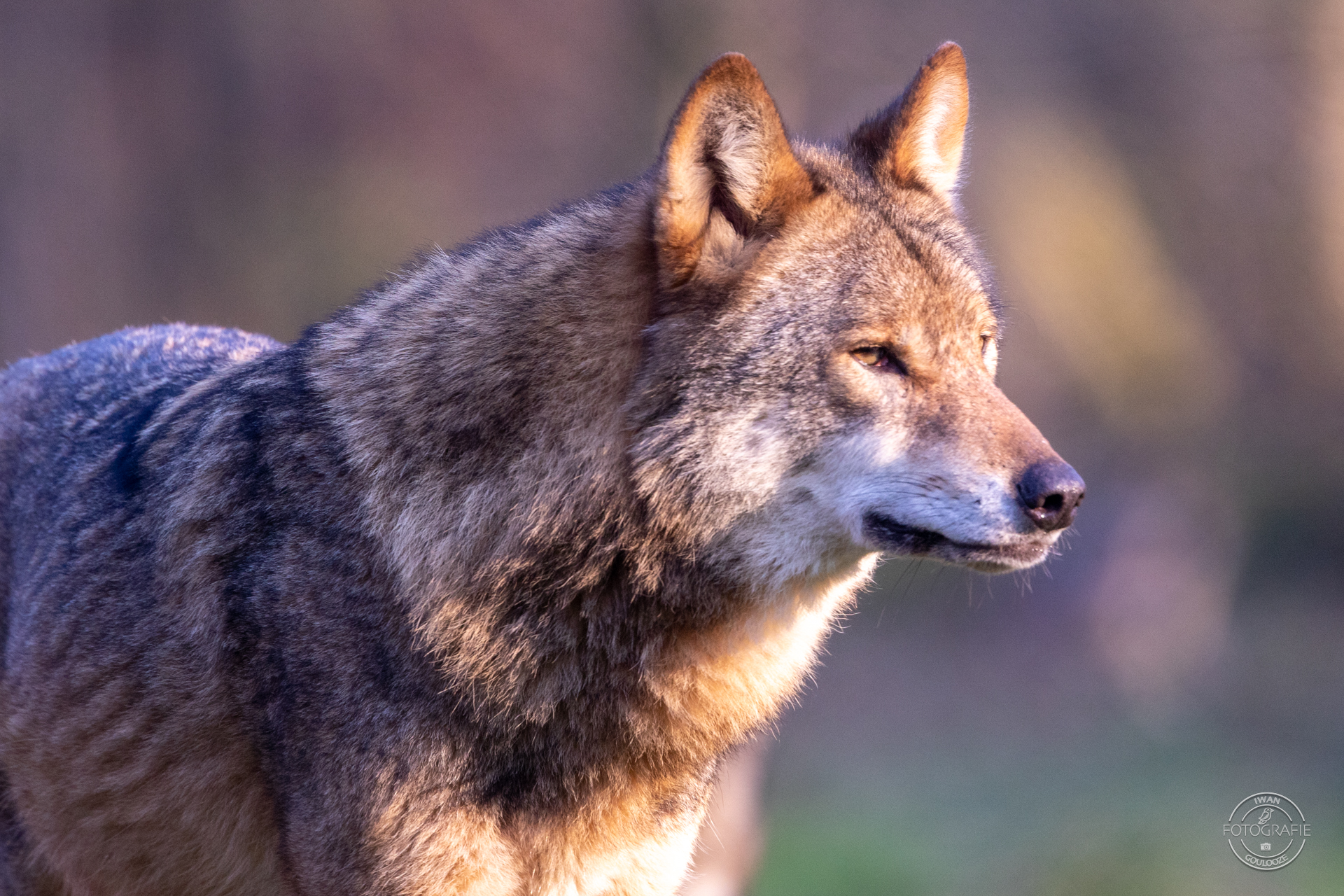 28 januari 2023 163804 1R2A8245